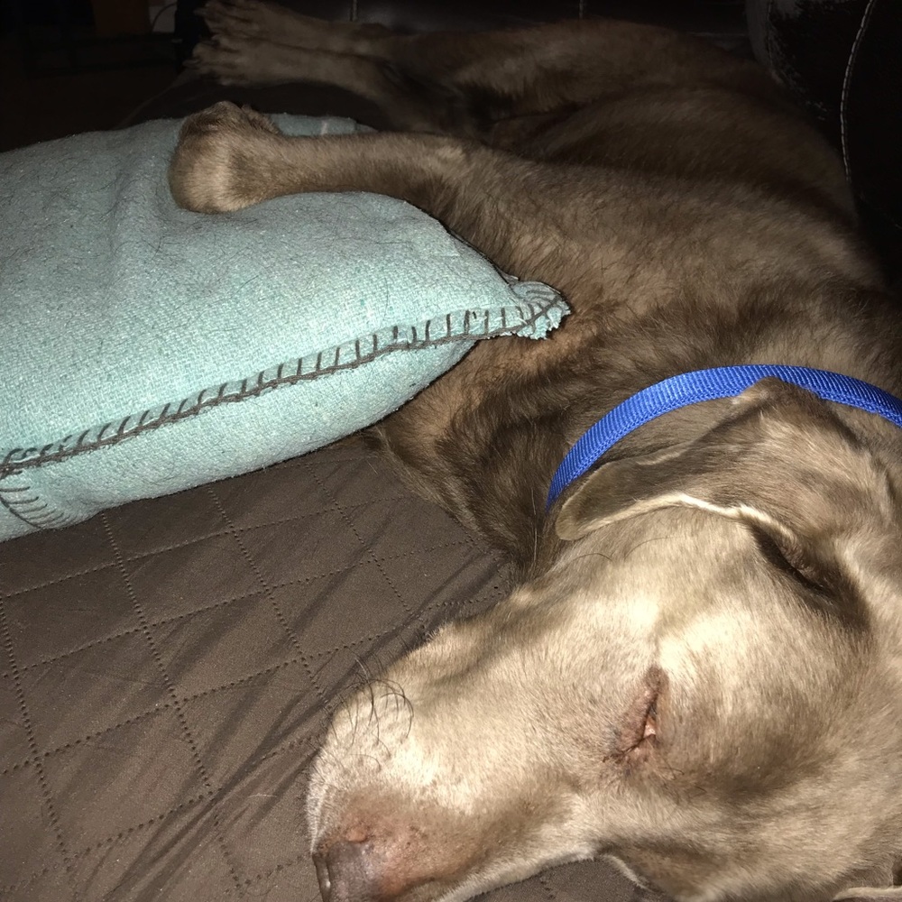 Meet your Posher, Scott